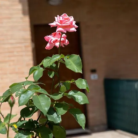 Modern House With Courtyard And Parking - Assisi 산타마리아데그리안젤리